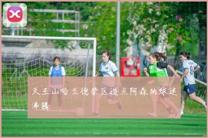 天王山哈兰德禁区造点阿森纳球迷沸腾