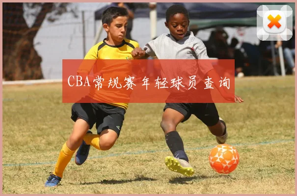 CBA常规赛年轻球员查询