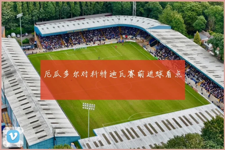 厄瓜多尔对科特迪瓦赛前进球看点