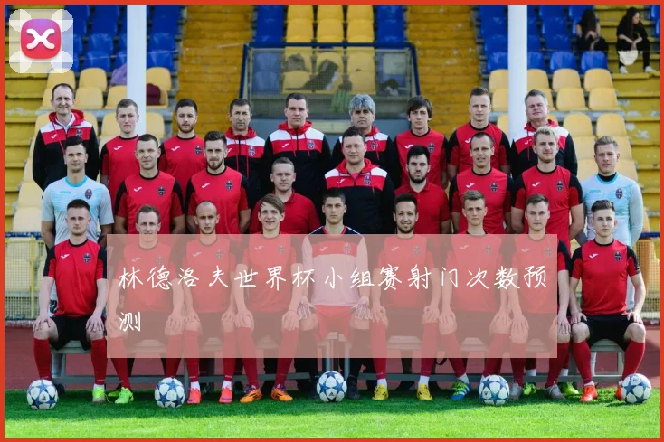 林德洛夫世界杯小组赛射门次数预测