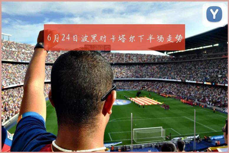 6月24日波黑对卡塔尔下半场走势