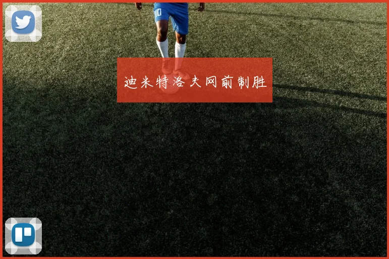 迪米特洛夫网前制胜