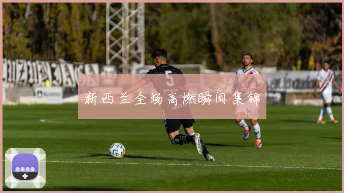 新西兰全场高燃瞬间集锦