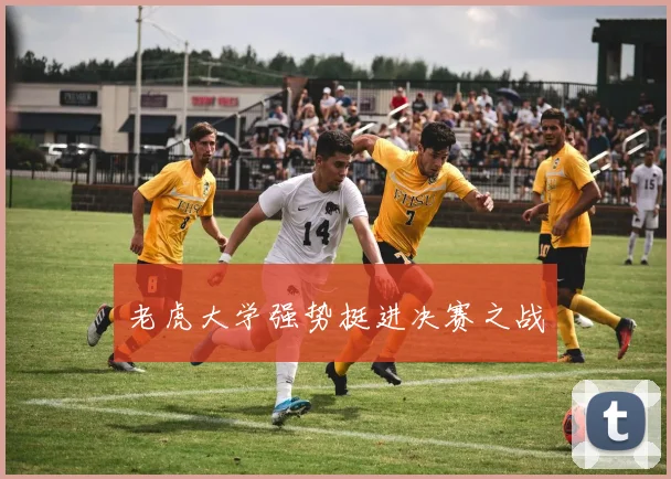 老虎大学强势挺进决赛之战