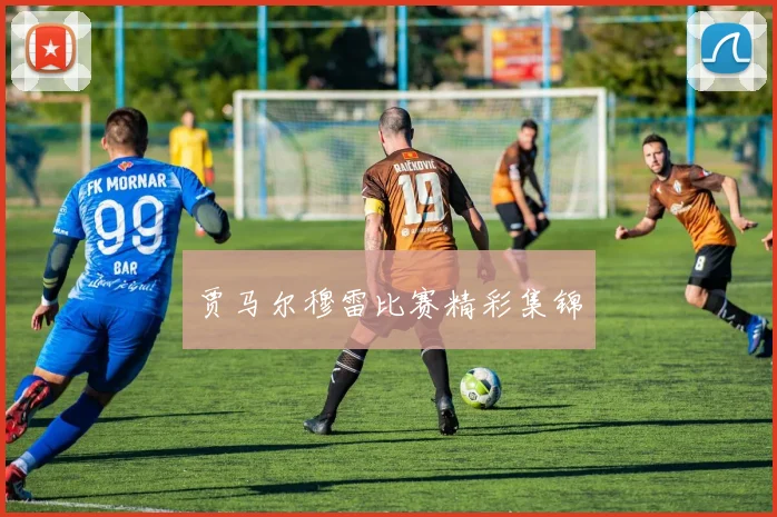 贾马尔穆雷比赛精彩集锦