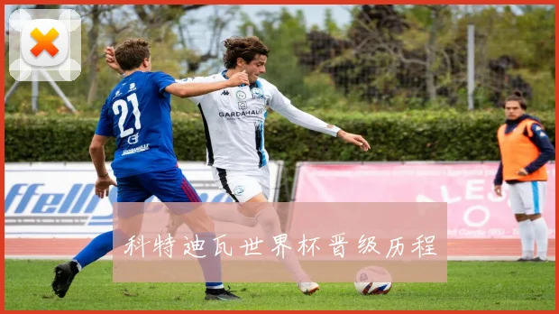 科特迪瓦世界杯晋级历程