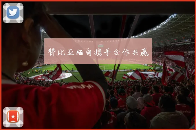 赞比亚缅甸携手合作共赢