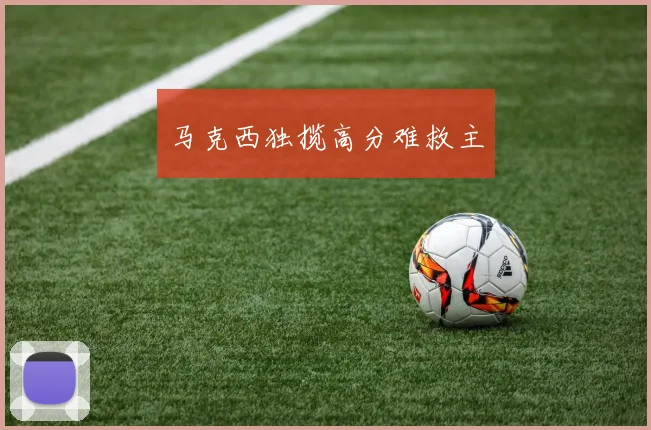 马克西独揽高分难救主