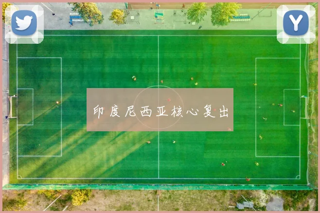 印度尼西亚核心复出