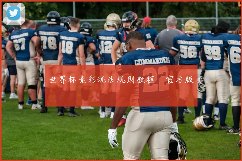 世界杯竞彩玩法规则教程｜官方版