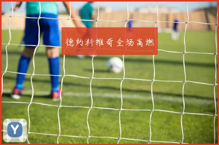 德约科维奇全场高燃