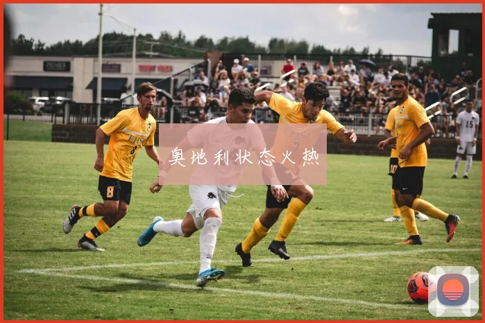 奥地利状态火热