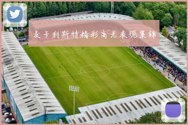 麦卡利斯特精彩高光表现集锦