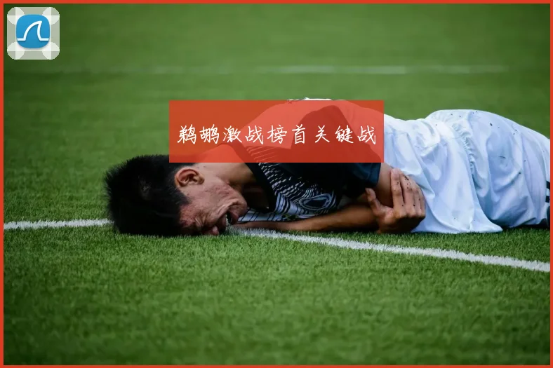鹈鹕激战榜首关键战
