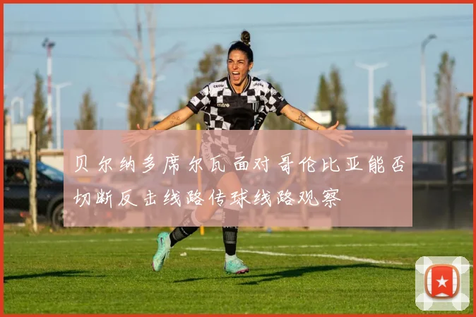 贝尔纳多席尔瓦面对哥伦比亚能否切断反击线路传球线路观察