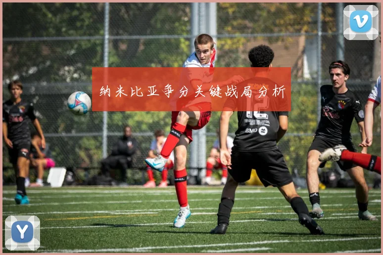 纳米比亚争分关键战局分析