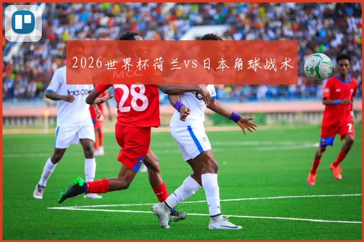2026世界杯荷兰vs日本角球战术